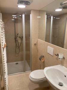 Koupelna v ubytování Apartmany Na Salasi