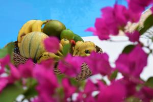 un cesto di frutta e verdura con fiori viola di Les gîtes de Bunel a Les Abymes