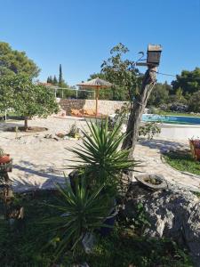 a group of plants next to a swimming pool at Hvar Mediterranean Ranch House in Stari Grad