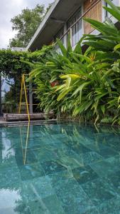 - une piscine avec des plantes à côté d'un bâtiment dans l'établissement NANO ECO-HOSTEL, à Hue