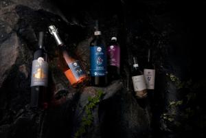 a group of wine bottles sitting on a rock at Tenuta San Vito In Fior Di Selva in Montelupo Fiorentino