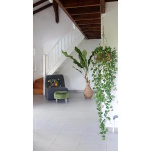 un salon avec un canapé bleu et des plantes dans l'établissement Villa Tourmaline, à Le Lorrain