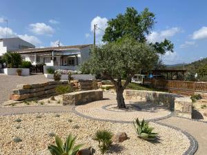 a tree in the middle of a courtyard with a house at Casa Olivia - Charming renovated farmhouse with panoramic views in Tavira