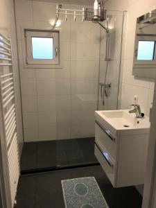 a bathroom with a sink and a shower at Natuurhuisje Pine & Oak 6 persoons in Hardenberg