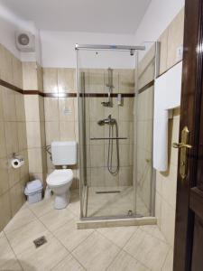 een badkamer met een douche en een toilet bij Pensiunea Roua in Piatra Neamţ