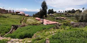 a group of houses on a hill with the water at Taquile Hospedaje Mario in Huillanopampa