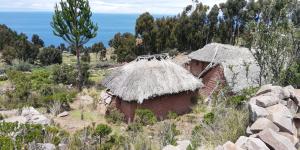 an old house with a thatched roof in a field at Taquile Hospedaje Mario in Huillanopampa