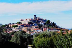 Príroda v okolí vily