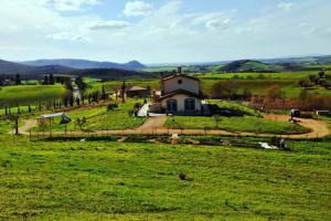 Príroda v okolí vily