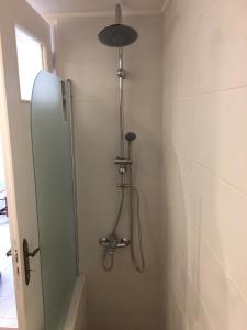 a shower with a glass door in a bathroom at Aelia in Ioulis