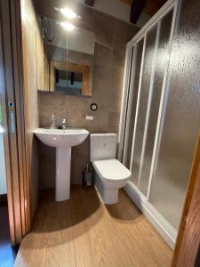 a bathroom with a sink and a toilet and a shower at Casa Casoa in Piornedo