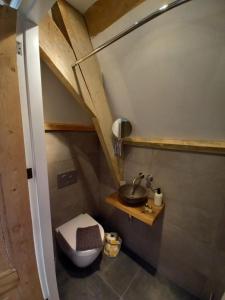 Baño pequeño con lavabo y aseo en B&B Van Amsterdam, en Middelburg