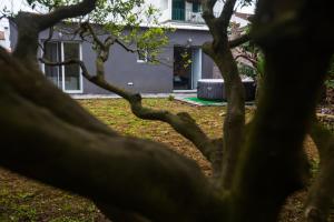 uma árvore em frente a uma casa em Bicycle Villas - AL em Ponta Delgada