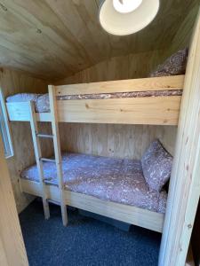 a bunk bed with a ladder in a room at Keepers Cottage in Ipswich