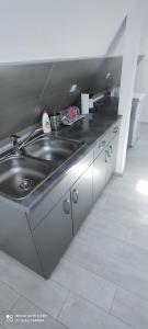 uma cozinha com um lavatório e armários de aço inoxidável em Stevan Sremac em Sokobanja