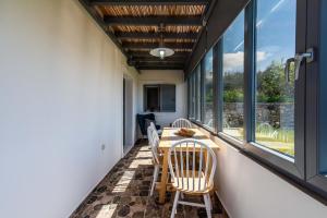 Φωτογραφία από το άλμπουμ του Nelleas home στον Αδάμαντα