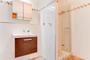 uma casa de banho com um lavatório e um chuveiro em Euro Apartments Křenová 75 Brno em Brno