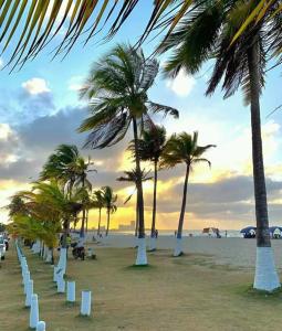 una fila de palmeras en una playa con el océano en Hotel El Puerto en Tolú
