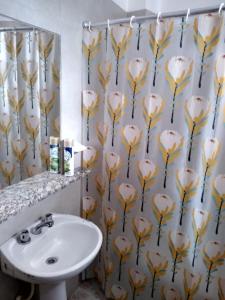 a bathroom with a sink and a shower curtain at Brisas del Parque in Salta