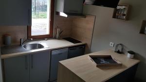 uma cozinha com um balcão com um lavatório e uma janela em Gite Delphine em Kaysersberg