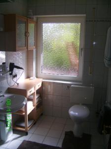 baño con ventana, lavabo y aseo en Ferienwohnung Hau, en Kradenbach