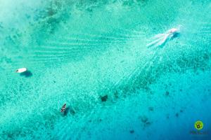 an aerial view of two people in the ocean at Makofi Guest House in Nungwi