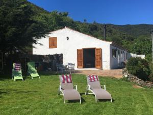 cuatro sillas de jardín sentadas en el césped frente a una casa en Finca el Roque en Tegueste