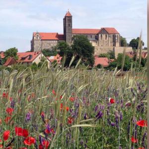 a field of flowers with a castle in the background at Ferienhaus Harzvorland in Ballenstedt
