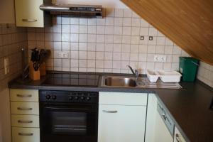 Kuchyň nebo kuchyňský kout v ubytování Ferienwohnung Andermann
