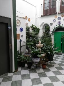 um pátio com vasos de plantas e uma porta verde em Hosteria de Rafi em Priego de Córdoba