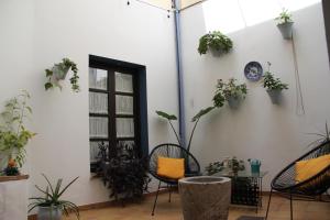 Zahrada ubytování La Piquera Hostal