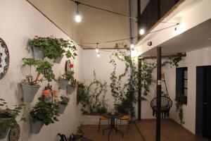 Fotografie z fotogalerie ubytování La Piquera Hostal v destinaci Córdoba