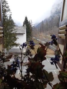 a view from a window with blue flowers at Casa Principe in Gressoney-Saint-Jean