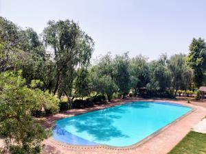 Umaid Palace - A Lakeside Resort - 25 minutes from Mehandipur Balaji - 20 minutes from Chand Baori Stepwell Abhaneri & 40 minutes from Bhangarh Fort内部或周边的泳池