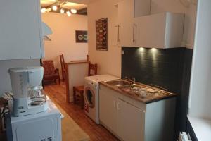 a kitchen with a washing machine and a washer at Les lunettes d'Oyo in Oyonnax