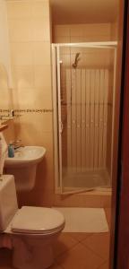 ビソバ・ズドルイにあるPokoje Gościnne Pod Wysotąのバスルーム(トイレ、洗面台、シャワー付)