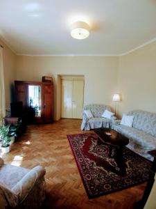 a living room with two couches and a rug at Apartmán pod rozhlednou in Roudnice nad Labem