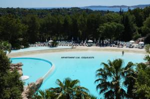 グリモーにあるLes Restanques du Golfe de Saint Tropezのヤシの木とビーチのある大型スイミングプール
