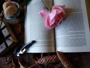 a book with a flower and a pen on it at La Baita Suite in Sicignano degli Alburni