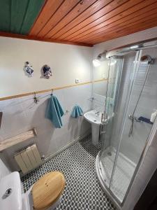 a bathroom with a shower and a toilet and a sink at Son de Mar Hotel rural & Apartamento in Quintueles