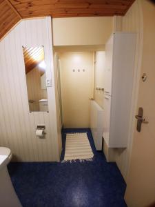 een kleine badkamer met een toilet en een wastafel bij De Kersentuin in Nieuwvliet