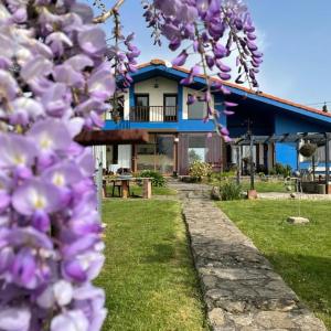 a tree with purple flowers in front of a house at Son de Mar Hotel rural & Apartamento in Quintueles