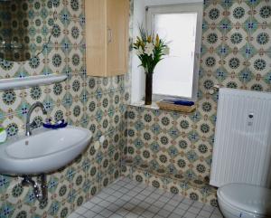 ein Badezimmer mit Waschbecken und Toilette in der Unterkunft Wohnen am Ufer der Mosel in Trier in Trier + 37 Fotos
