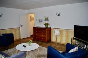 ein Wohnzimmer mit blauen Stühlen, einem TV und einem Tisch in der Unterkunft Wohnen am Ufer der Mosel in Trier in Trier