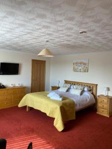 a bedroom with a bed and a tv on the ceiling at Impala Guest House in Wick