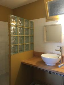 サン・テニャンにあるLes Gites Saint Aignan - Proche du Zoo de Beauvalのバスルーム(洗面台、鏡付)