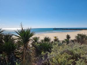 - une plage avec des palmiers et l'océan dans l'établissement Le Cap d'Agde NATURISTE Grand T2 de standing avec GARAGE, au Cap d'Agde
