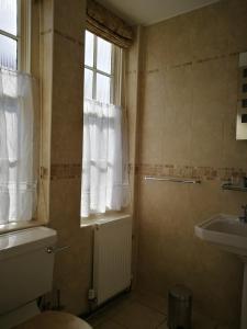 a bathroom with a sink and a toilet and a window at Feathers Royal Hotel in Aberaeron