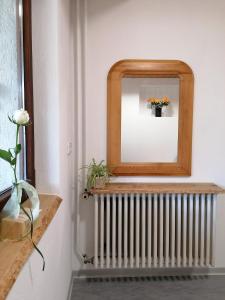 a mirror on top of a radiator in a room at Schwarzwald Appartement in Steinen +27 photos