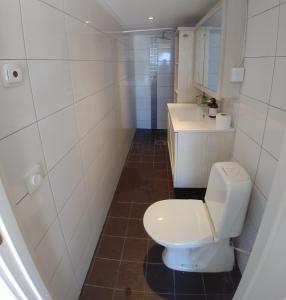 a bathroom with a toilet and a sink at Rosdala gård - gästhuset in Rydsgård